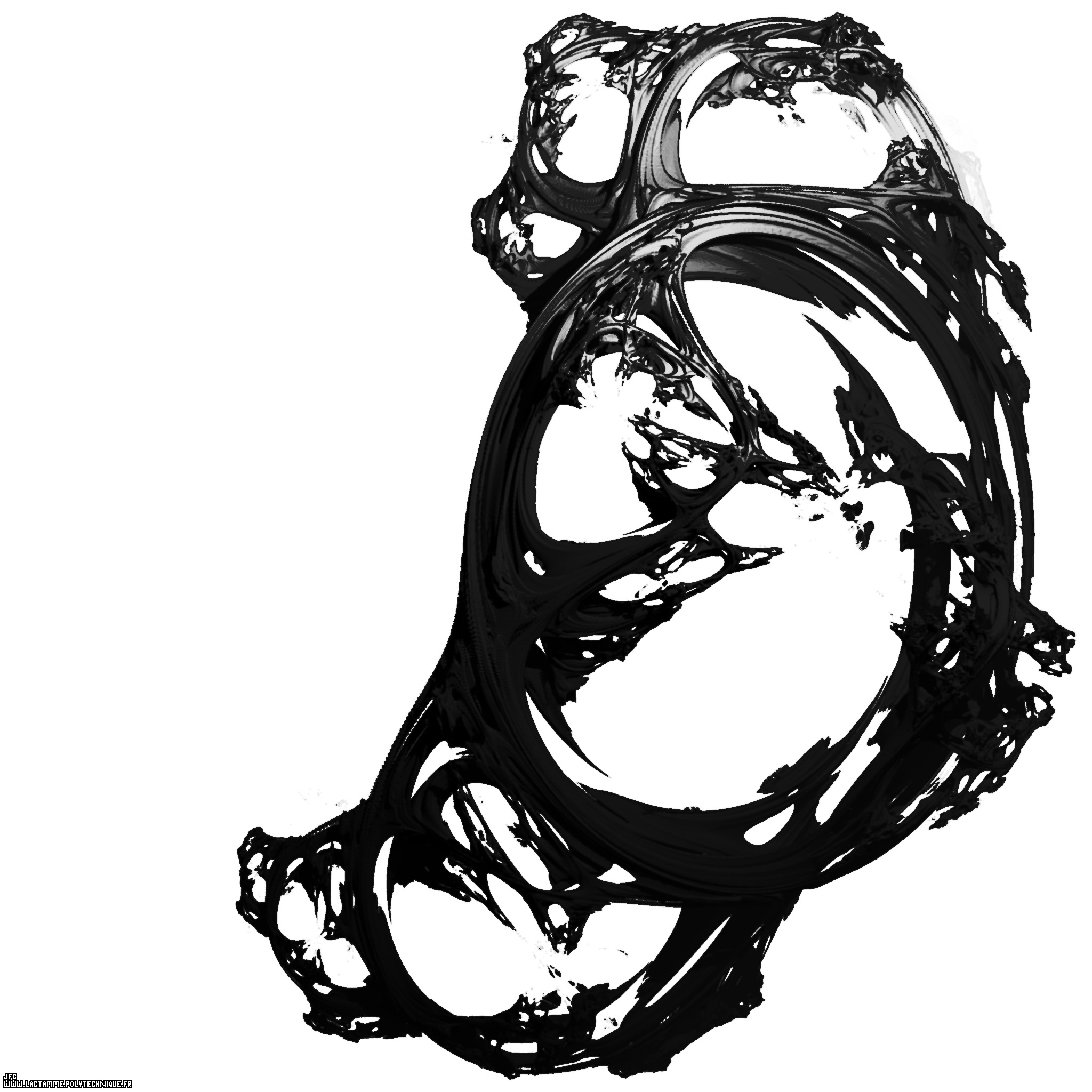 Premier contact -un hommage rendu grâce à un ensemble de Julia dans l’ensemble des pseudo-quaternions, par Jean-François colonna